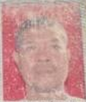 FERNANDO HARAHAP